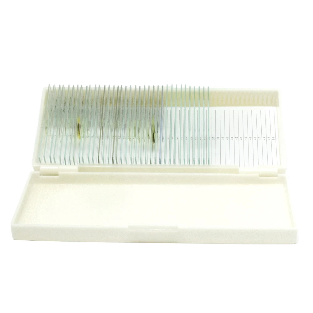 Állattani preparátum gyűjtemény (26 db) Állattani preparátum gyűjtemény (26 db)