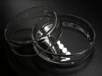 Petricsésze pár D 70/64 mm