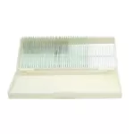 Botanikai preparátum gyűjtemény (26 db)